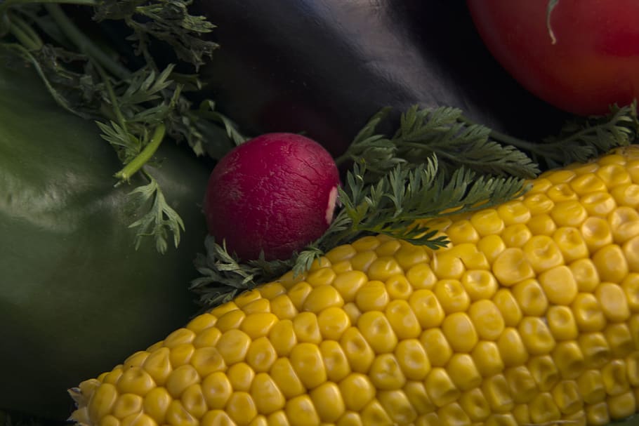 corn, pepper, radish, vegetables, food, natural, fresh, healthy HD wallpaper