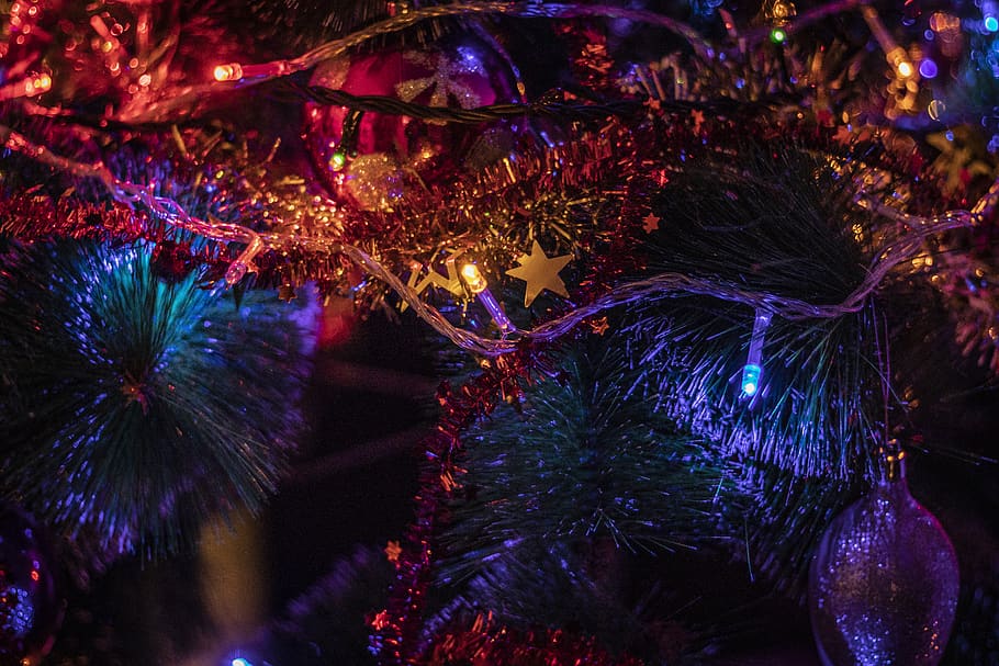 christmas, tree, light, star, celebration, christmas tree, decoration HD wallpaper