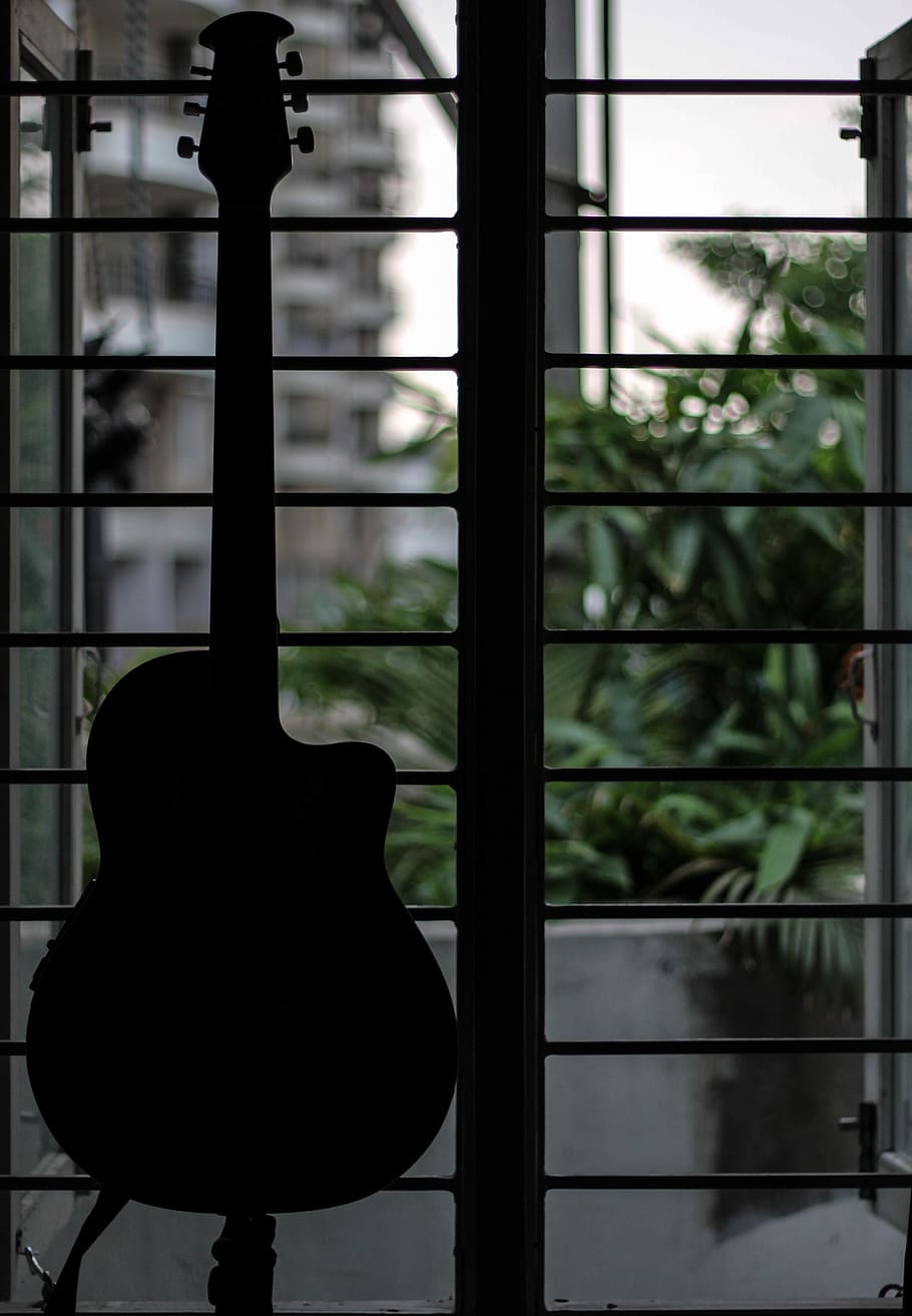 india, hyderabad, music, guitar, window, no people, glass - material