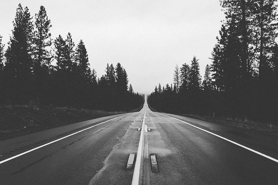 Grayscale Photography of Road Between Trees, long, straight, road marking HD wallpaper