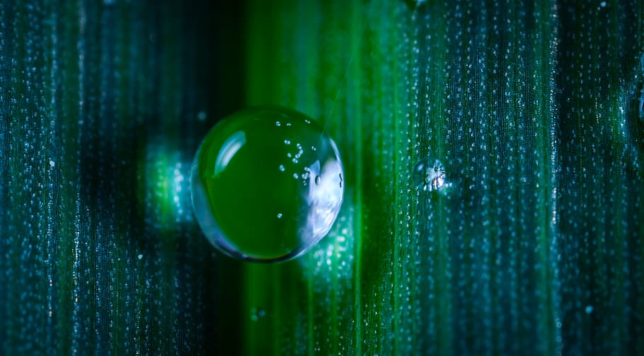 Closeup Photography of Dew, bubble, colors, dark, drop, droplet HD wallpaper