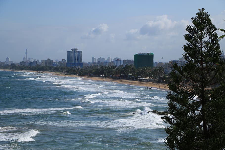 sea, trees, city, waves, building exterior, architecture, water HD wallpaper