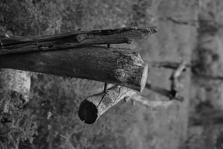 united states, greer, focus on foreground, wood - material HD wallpaper