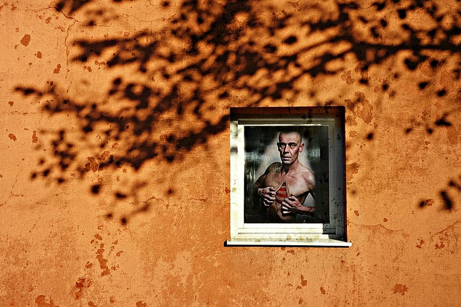 wall, window, man, anatomy, person, tree shadow on the wall HD wallpaper