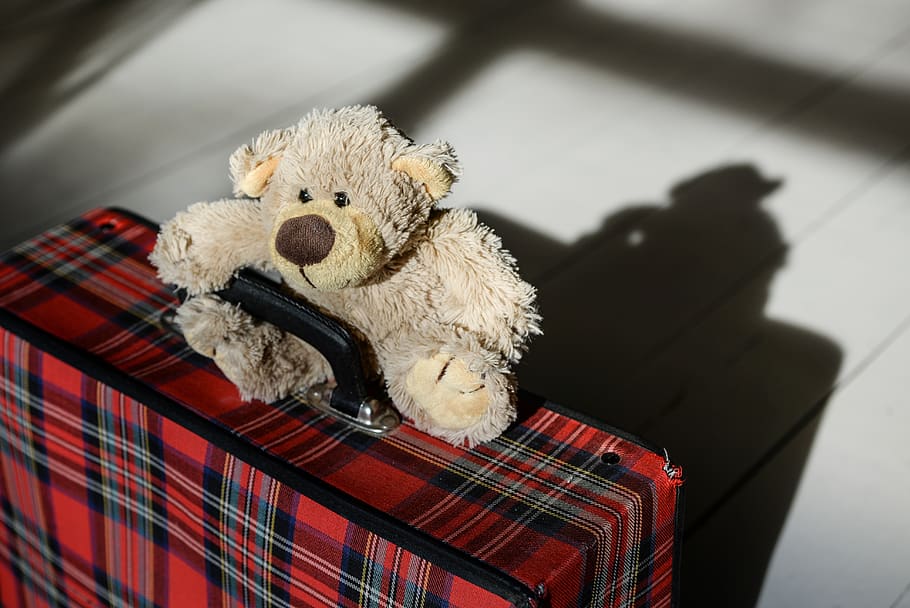 teddy, bear, suitcase, holidays, toy, cute, childhood, sweet HD wallpaper