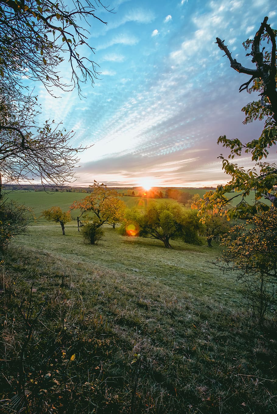 cloud, stacking, sunset, tress, view, landscape, background HD wallpaper