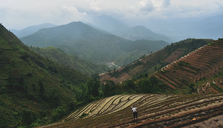 vietnam, sa pa, farm, mountain, terraces, asia, farmer, sapa, HD wallpaper