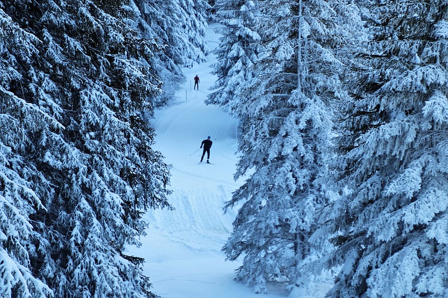 route, ski, vacations, snow, frost, frozen, in the mountains HD wallpaper