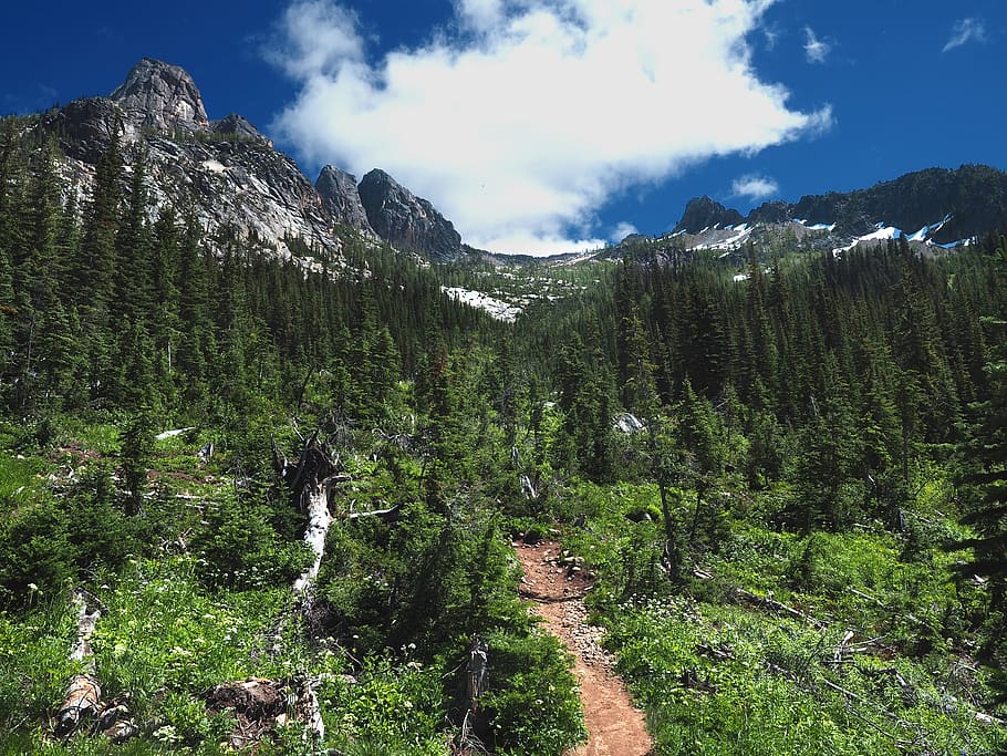 Green Trees And Rocky Mountains, forest, landscape, nature, woods HD wallpaper