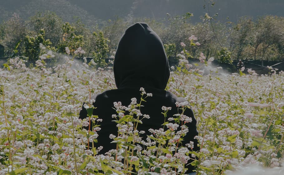 Photo of Person Wearing Black Hoodie Standing On Flower Field HD wallpaper