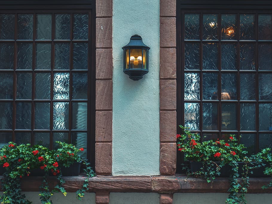germany, cologne, lamp, windows, reflection, flowers, texture