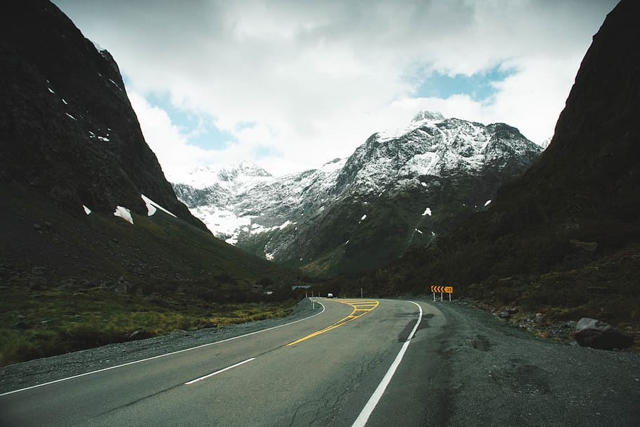road, highway, asphalt, tarmac, bird, animal, nature, new zealand HD wallpaper