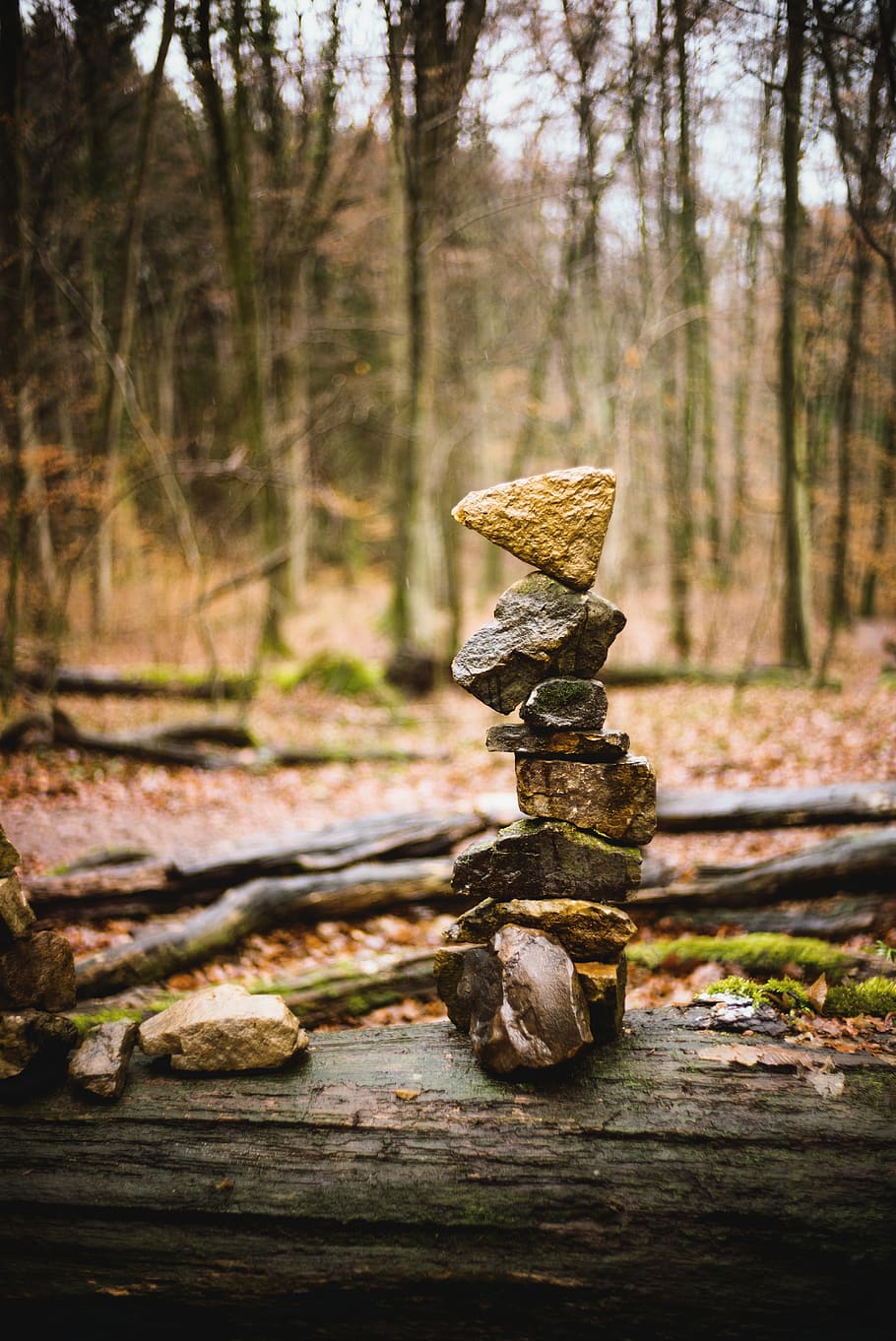 germany, wolfschlugen, bokeh, trees, forest, wood, balance HD wallpaper