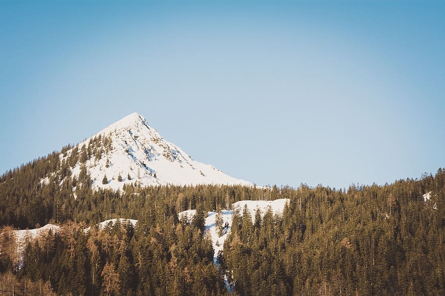 landscape, trees, mountain, mountain peak, snow, winter, spring HD wallpaper