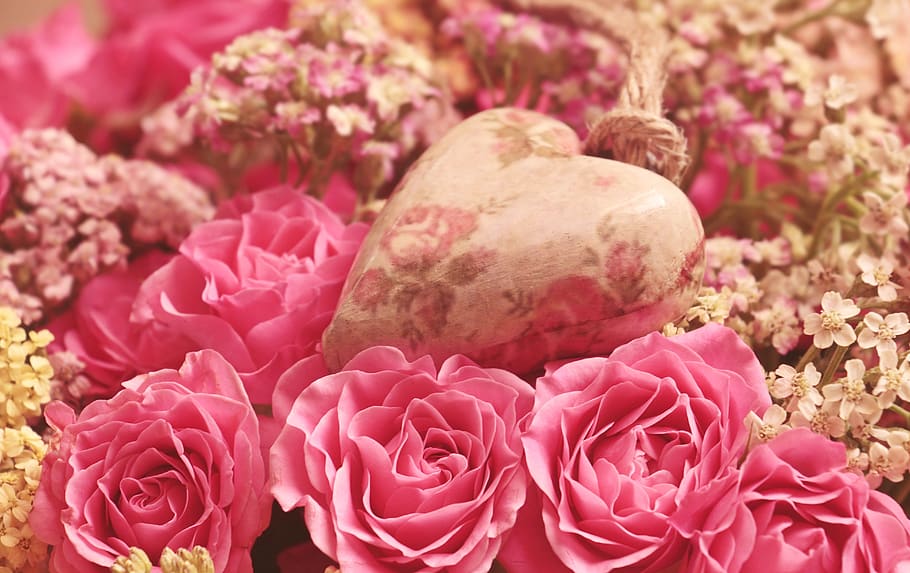 roses, heart, noble roses, romantic, pink, flower, beauty, love, HD wallpaper