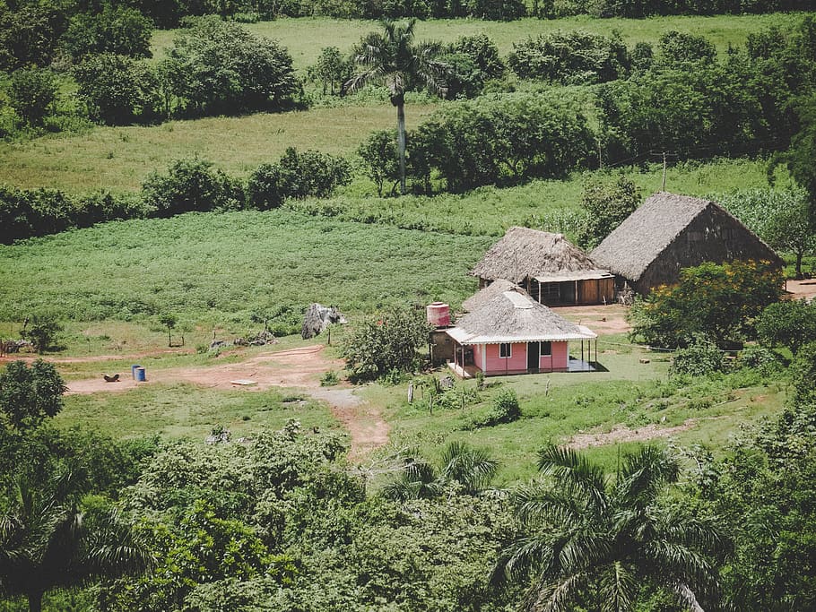 cuba, vinales, plant, tree, land, architecture, built structure HD wallpaper