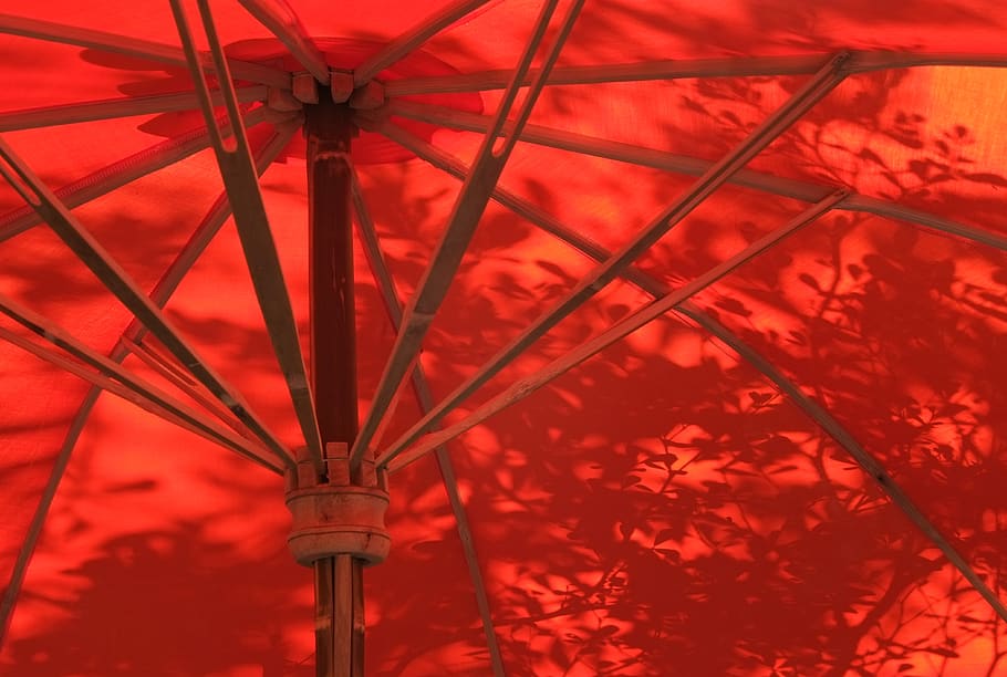 umbrella, thailand, chiang mai, canopy, wat phra pan (wat phranon mee pukha) HD wallpaper