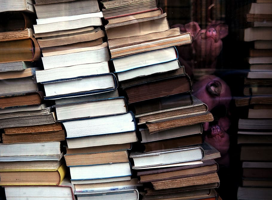 books, knowledge, education, office, school, library, read HD wallpaper