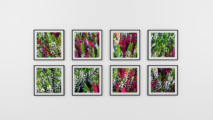 Eight Photo Frame of Flowers, art, collection, design, exhibit HD wallpaper