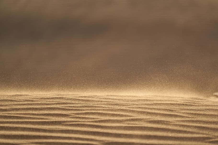 shallow focus photography of brown sand, sahara, background, wallpaper HD wallpaper