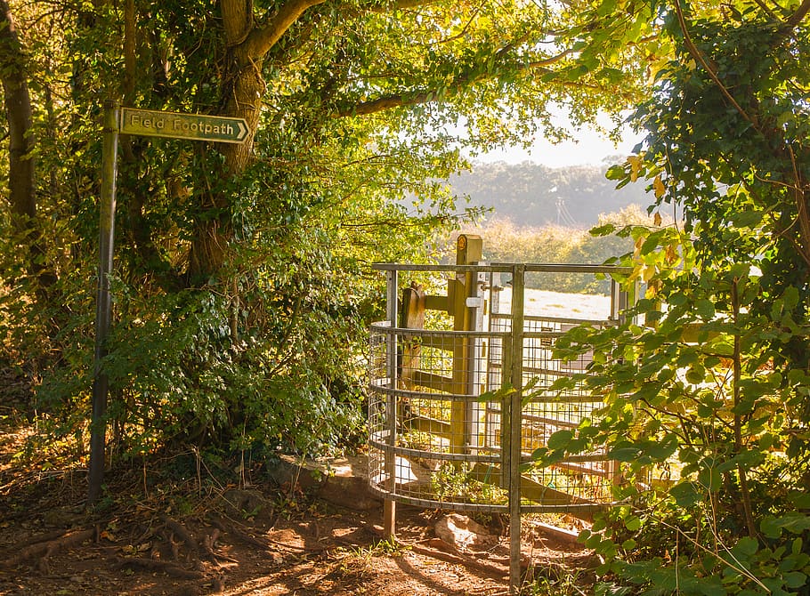 uk, gloucester, the gate, plant, tree, nature, growth, day HD wallpaper