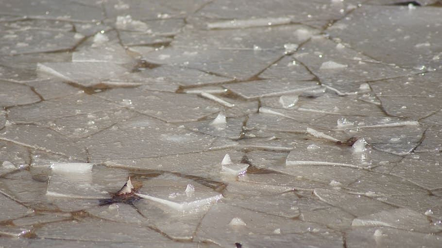ice, plaice, pond, cold, water, nature, landscape, frozen, winter HD wallpaper