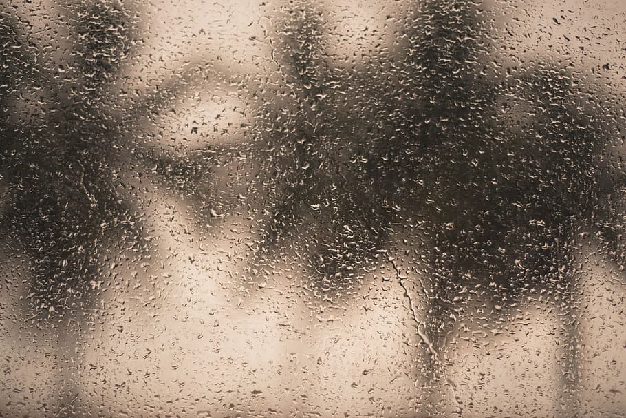 rain, drops, window, trees, summer shower, backgrounds, full frame HD wallpaper