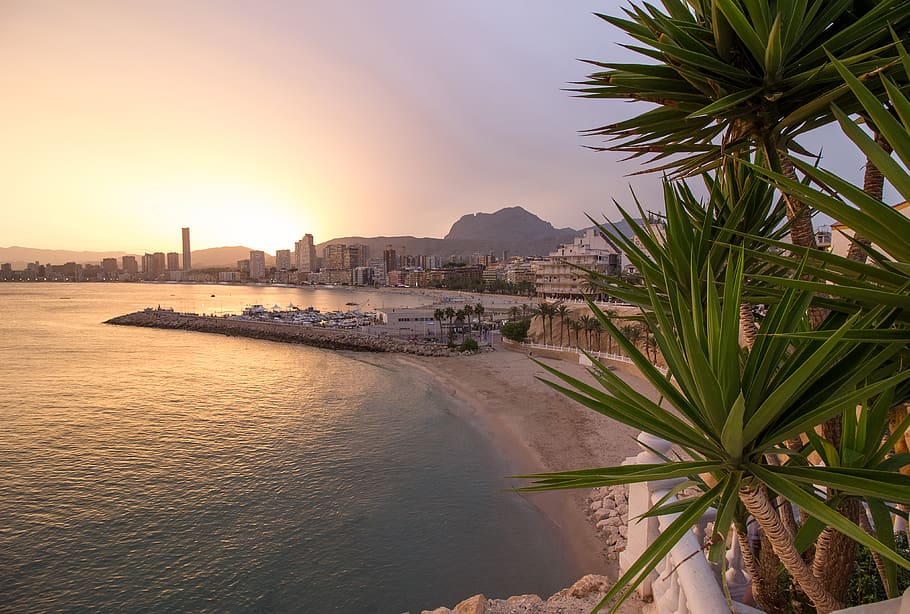 spain, benidorm, mountains, palms, harbour, boats, evening, HD wallpaper