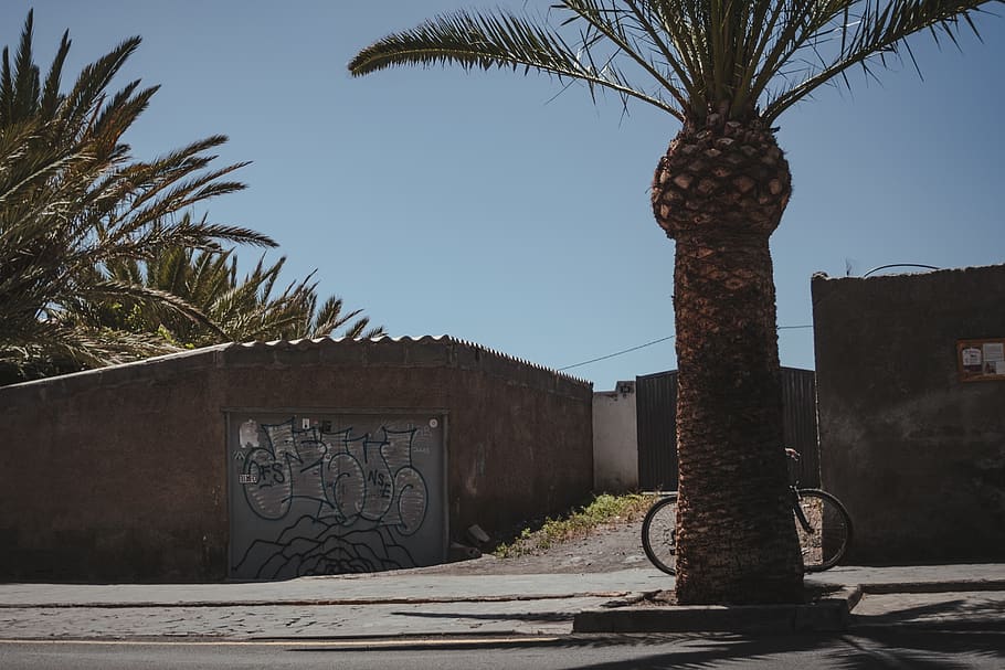 spain, valle gran rey, concrete, composition, graffiti, palmtrees HD wallpaper