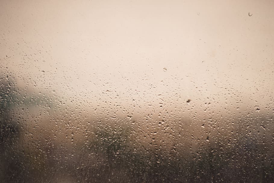rain, wet, window, drop, glass - material, water, full frame HD wallpaper