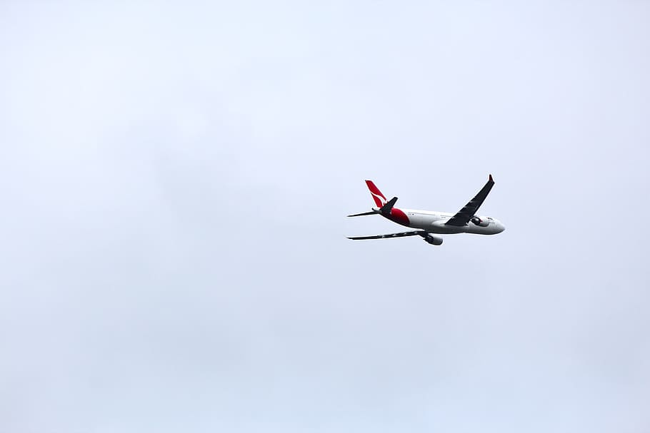 plane flying on clear sky, airplane, transportation, aircraft HD wallpaper