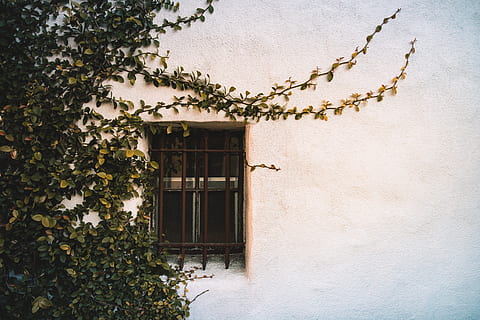 HD wallpaper: silhouette of man watching at the window, home decor