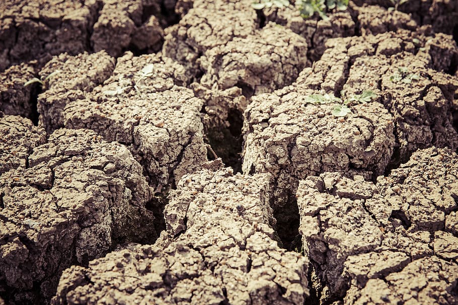 cracked brown soil, ground, surface, land, environment, earth HD wallpaper