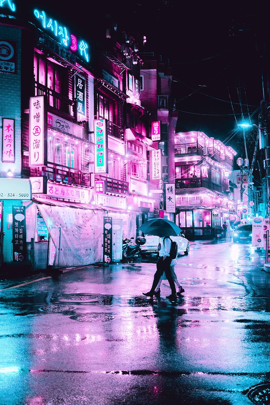 man under gray umbrella, seoul, pink and blue, night, light, neon