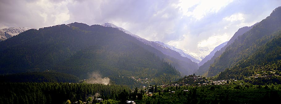 mountains, climate, landscape, manali, india, trees, forest, HD wallpaper