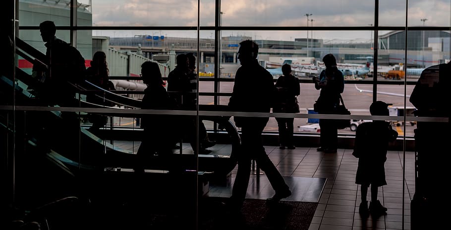 people walking inside plane station, airport, person, human, terminal