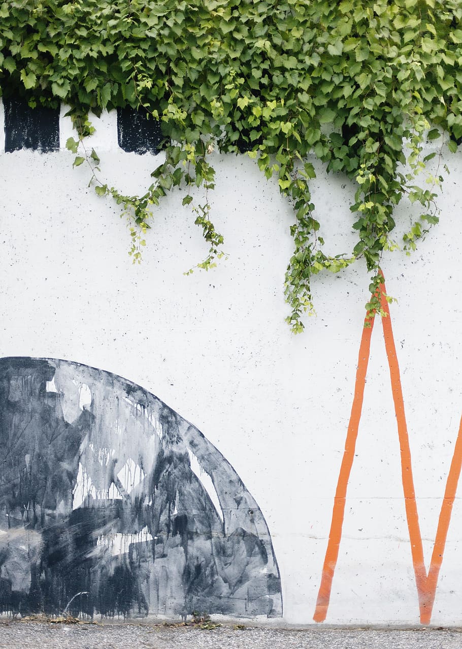 green vines on wall, ivy, plant, leaf, leaves, art, mural, texture HD wallpaper