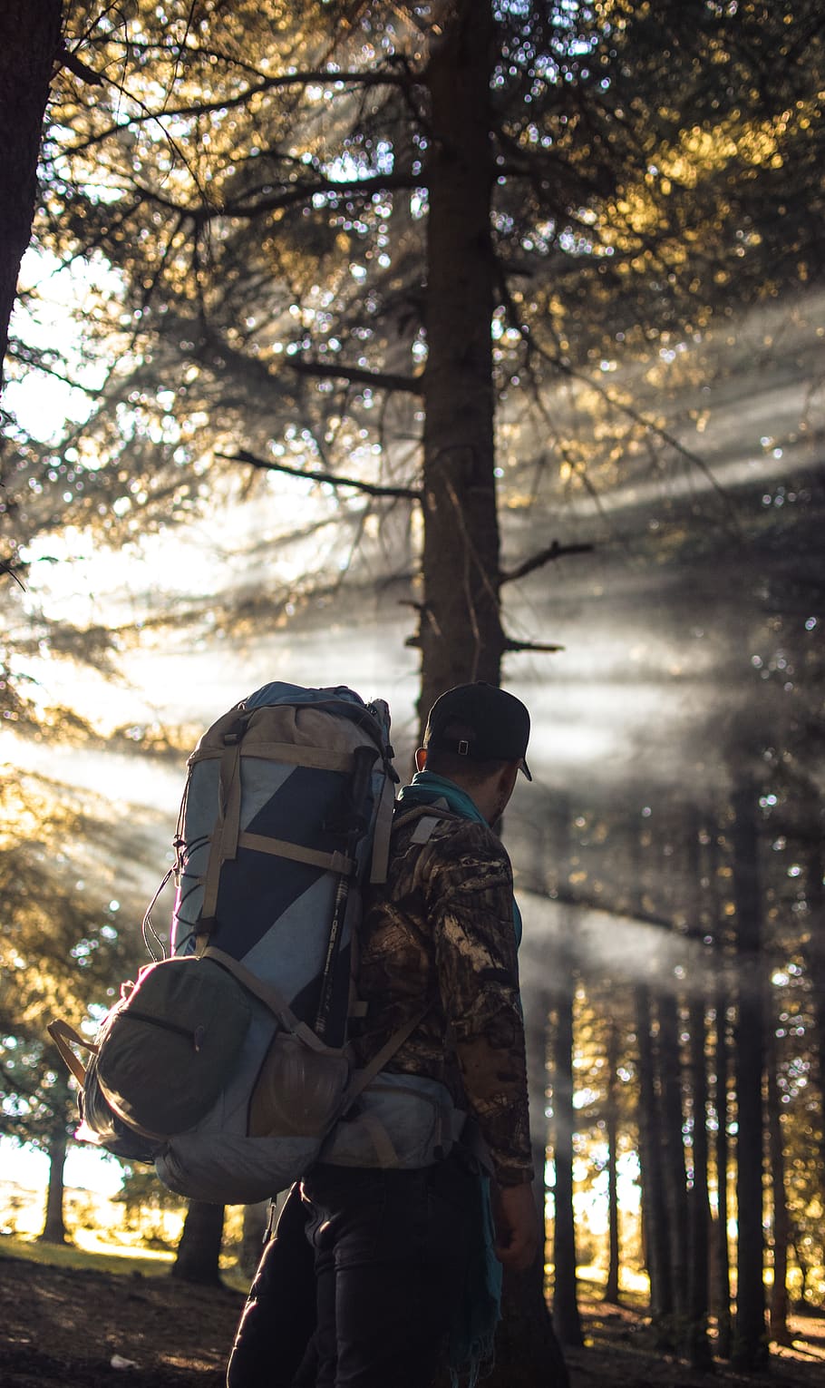 Man With Hiking Backpack in Forest, adventure, backpacker, daylight HD wallpaper