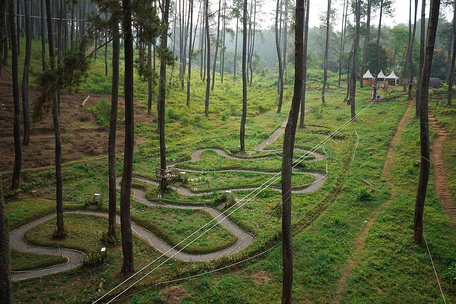 indonesia, tourism park orchid forest, road, curvy road, in the wood
