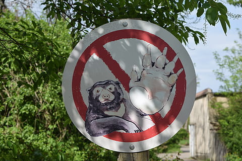 stop, stop sign, shield, red, attention, information boards HD wallpaper