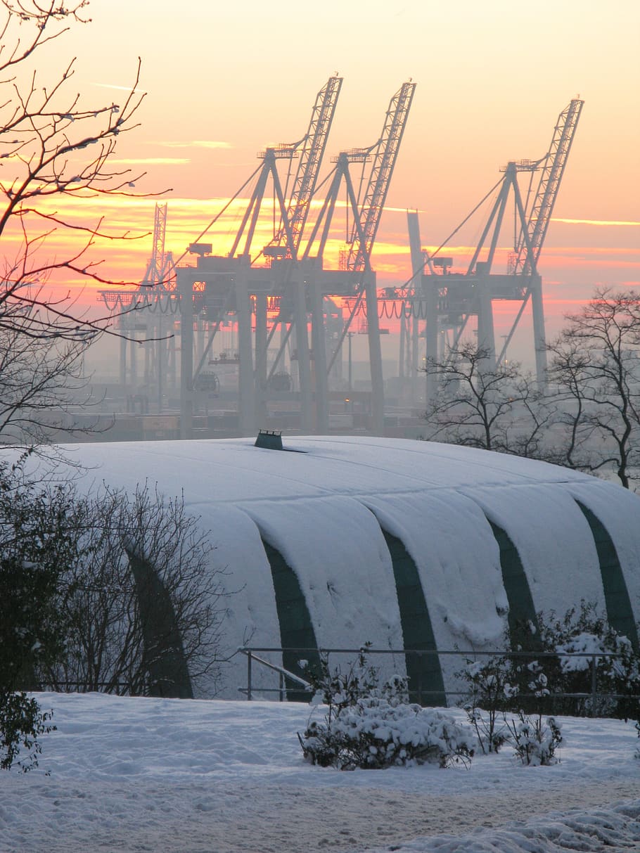 elbe, cranes, winter, snow, cold temperature, sunset, sky, nature HD wallpaper