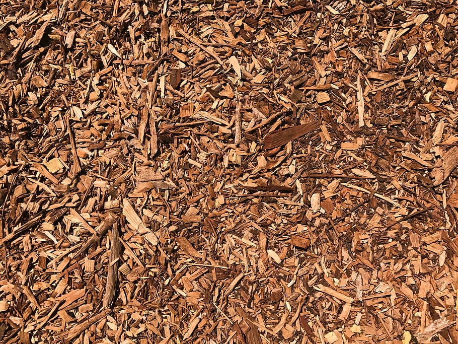 united states, seattle, northwest seattle, organic, mulch, bark, HD wallpaper