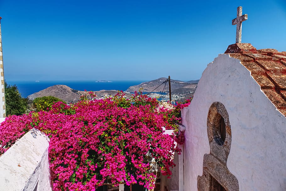 greece, patmos, flower, church, colours, sky, flowering plant HD wallpaper