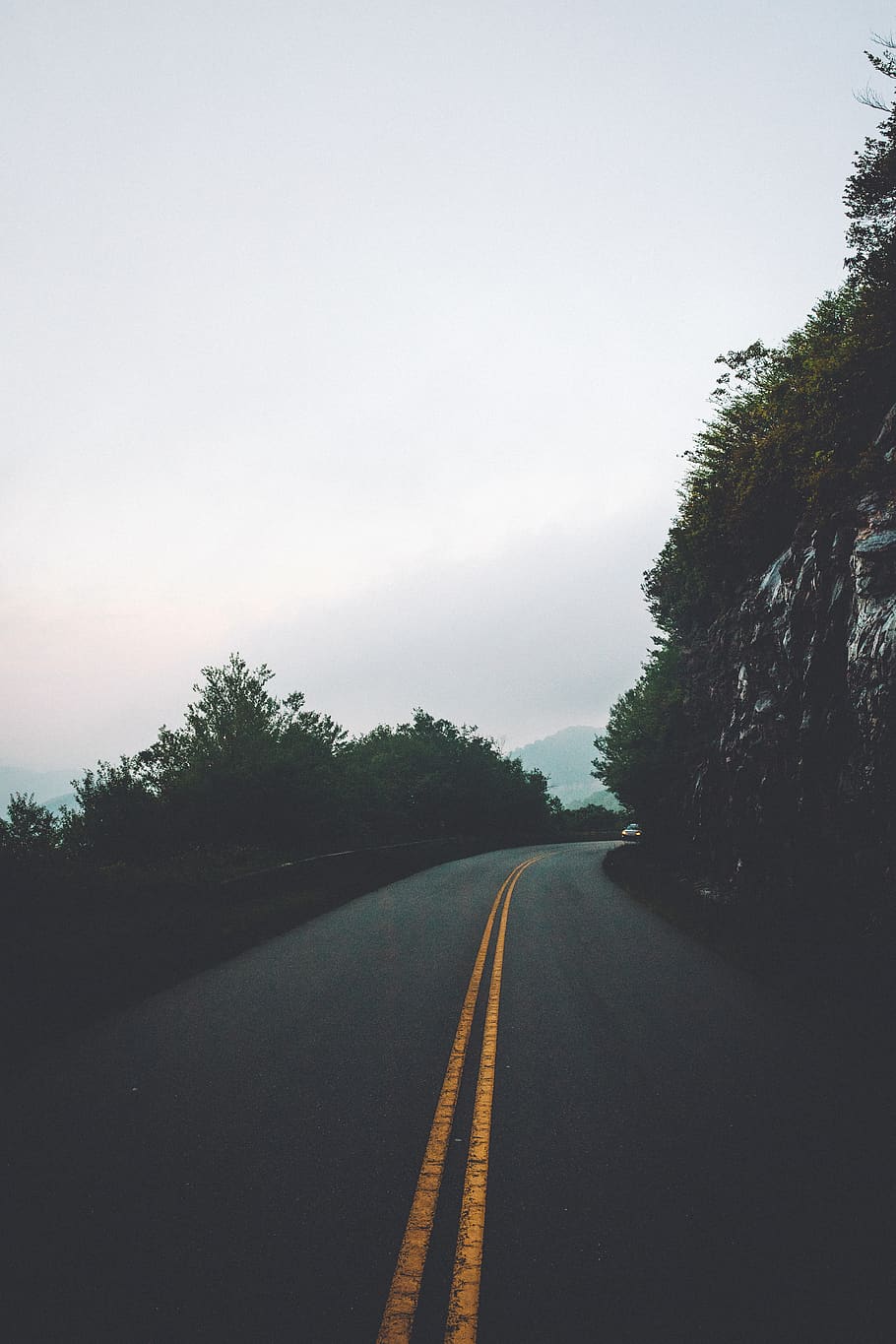 vacant road during daytime, tree, sky, plant, the way forward HD wallpaper