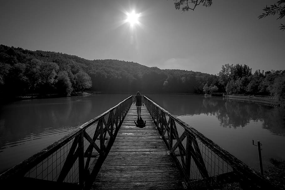 lake, walking, thinking, peace, water, sky, tree, reflection HD wallpaper