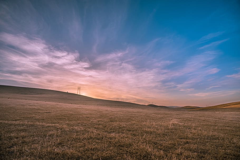 grass, fields, rural, countryside, nature, sky, clouds, power lines HD wallpaper