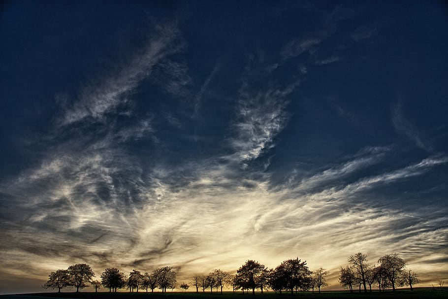 trees, sky, evening, dusk, clouds, background, cloud - sky HD wallpaper