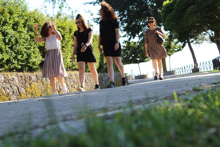 italy, frigento, group of people, women, plant, friendship HD wallpaper