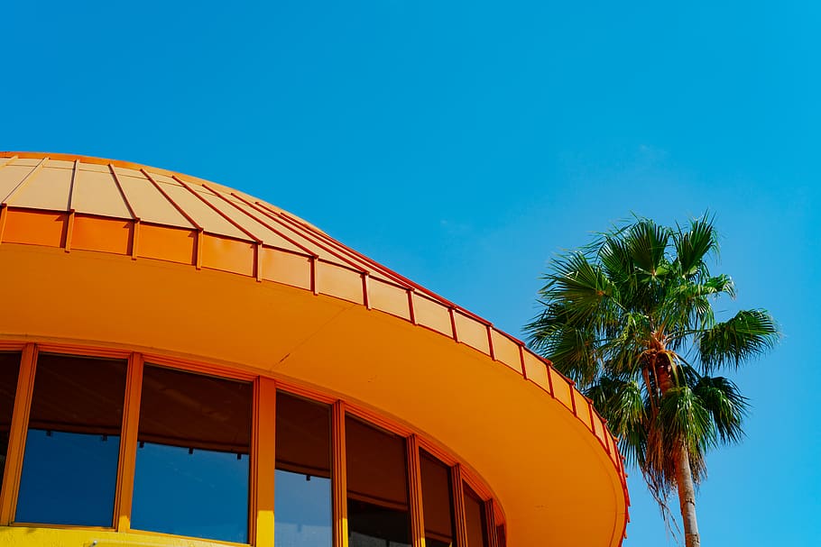 brown concrete building, tropical climate, palm tree, sky, built structure HD wallpaper