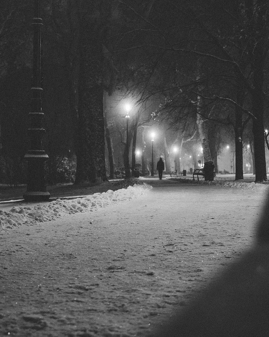 person, human, nature, path, light, outdoors, snow, walkway HD wallpaper